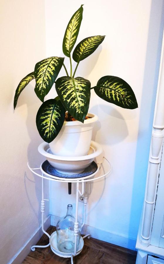 פורטימאו Charming Portuguese Style Apartment, For Rent "Vida A Portuguesa", "Gaivota" Alojamento Local מראה חיצוני תמונה